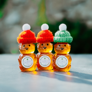 Holiday Honey Bear Mini Set